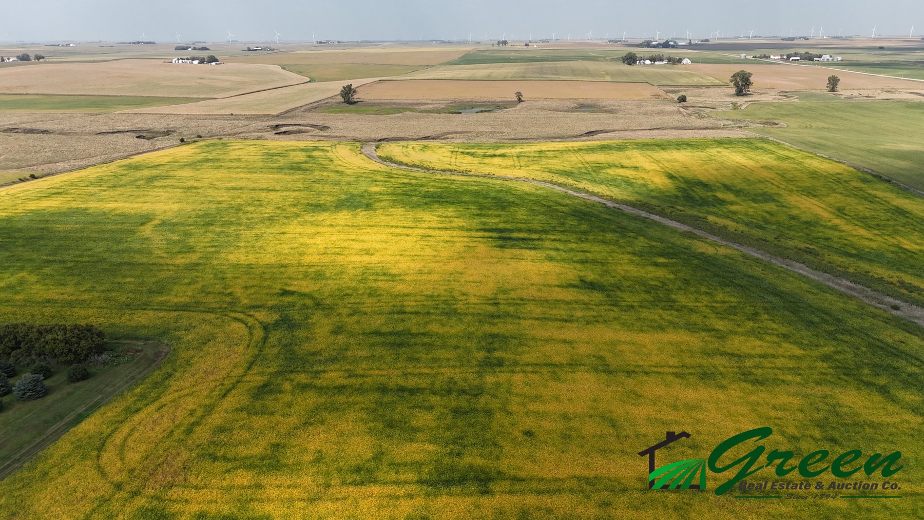 Image for Sac County, IA Farmland Auction!