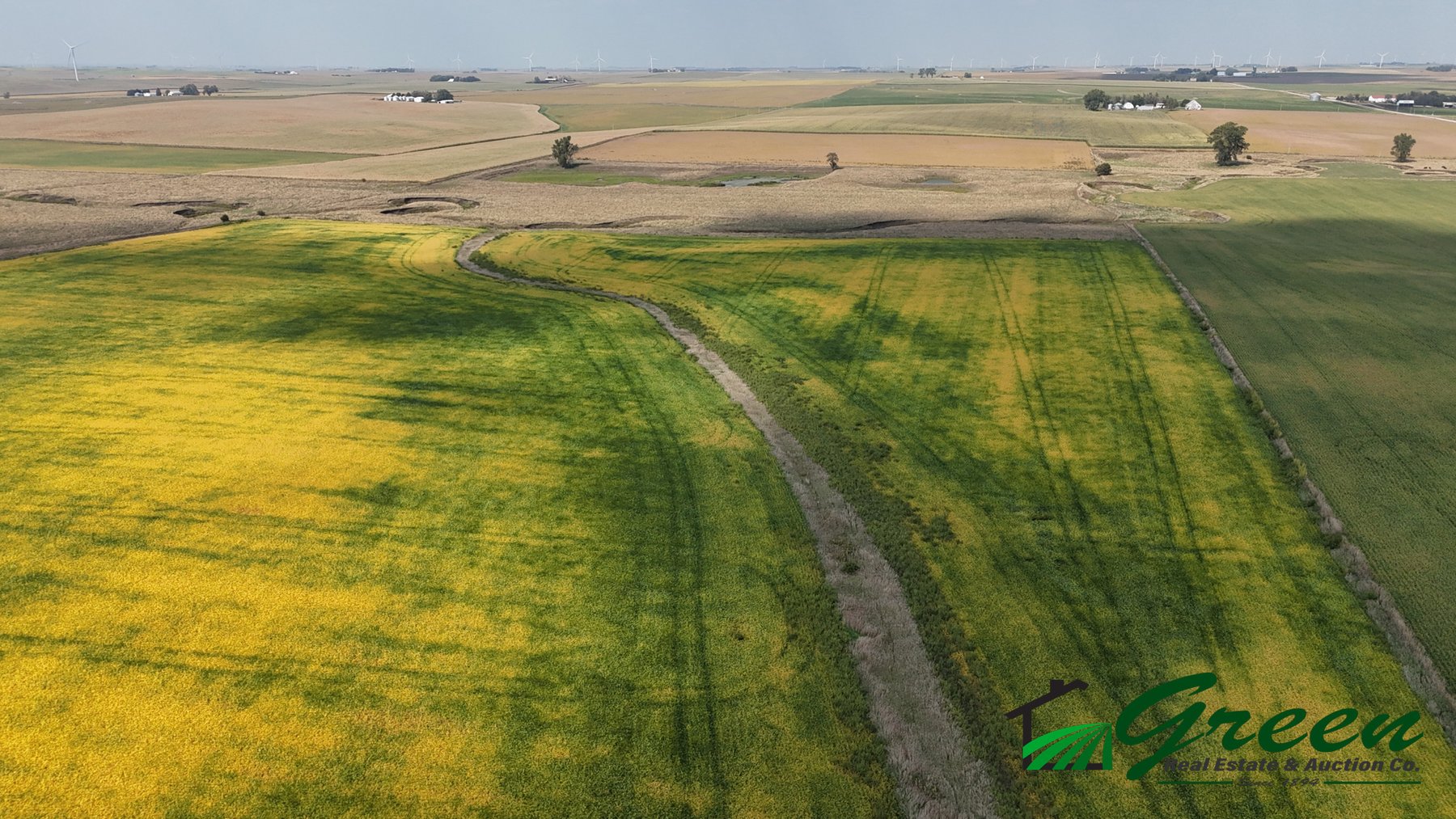 Image for Sac County, IA Farmland Auction!