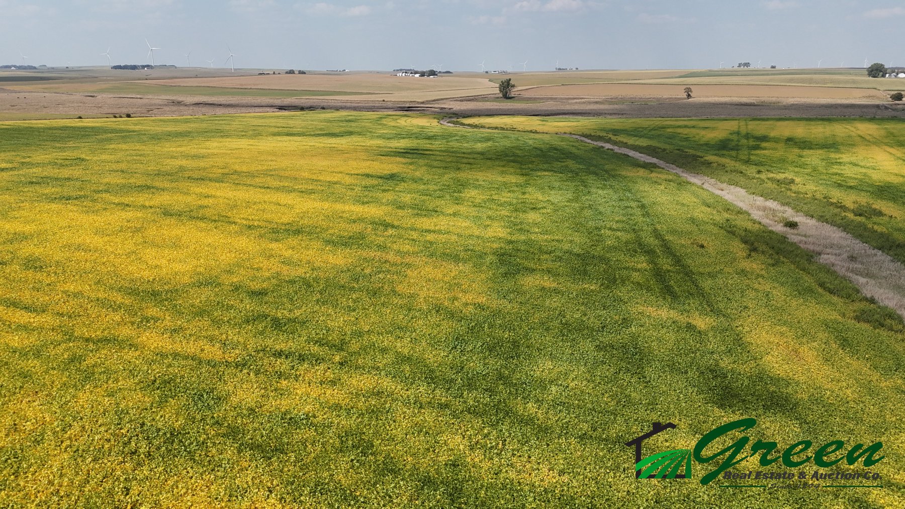 Image for Sac County, IA Farmland Auction!