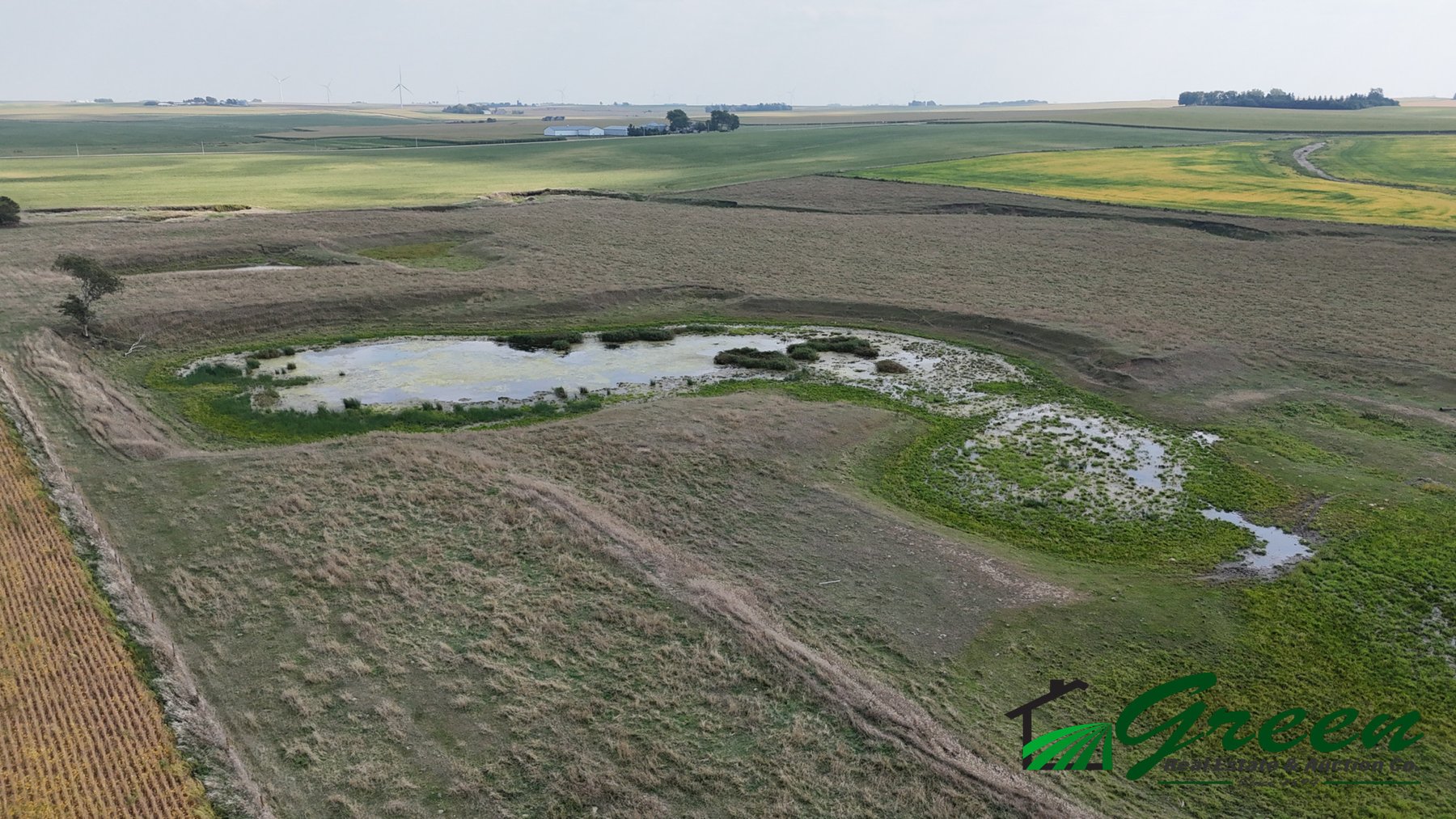 Image for Sac County, IA Farmland Auction!