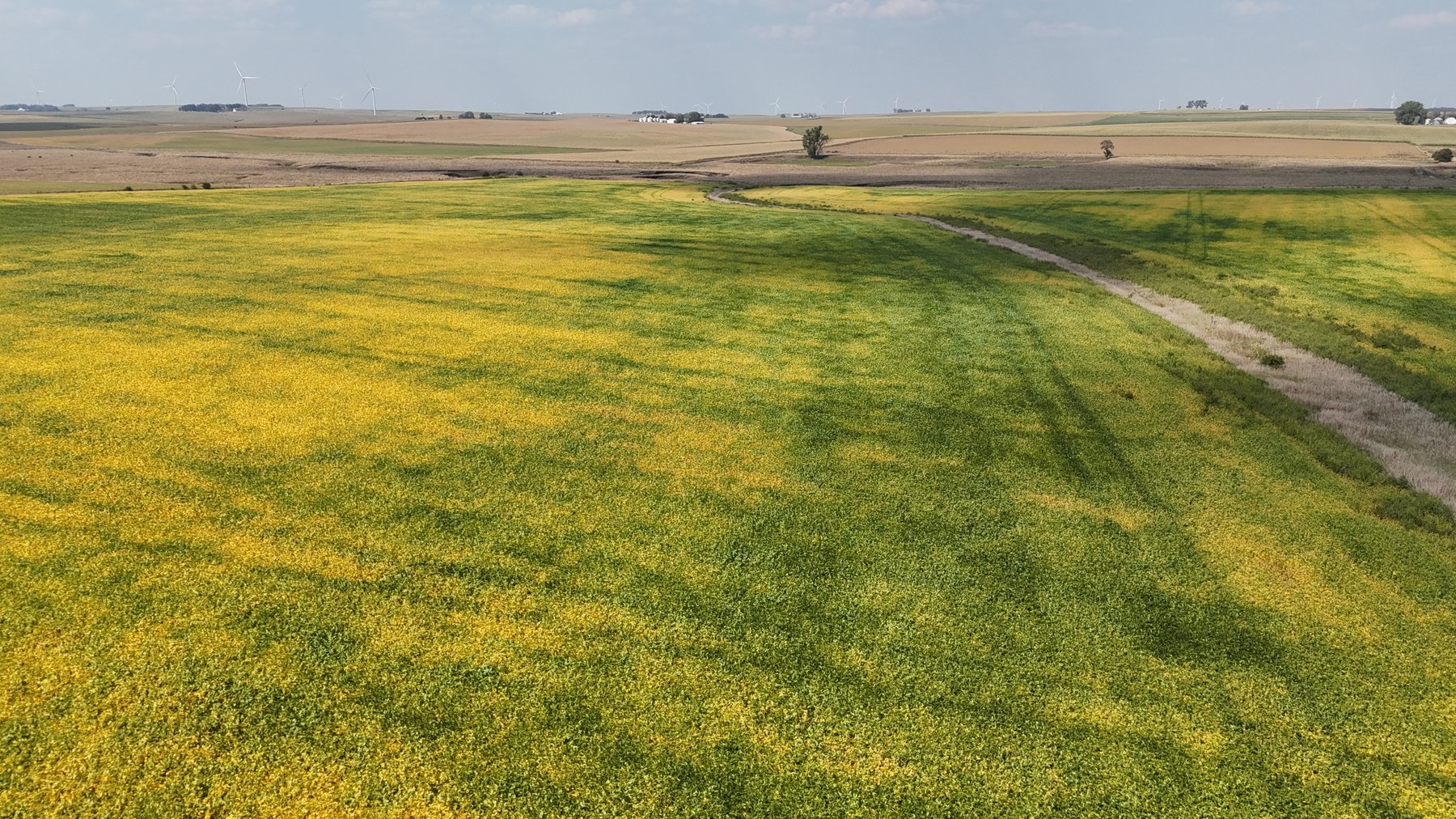 Image for Sac County, IA Farmland Auction!