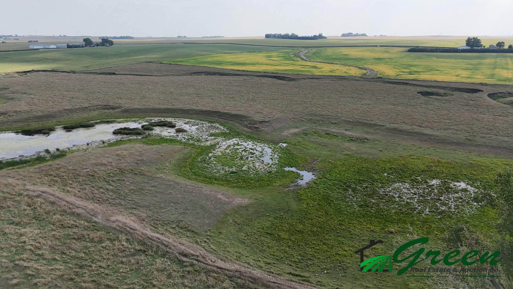 Image for Sac County, IA Farmland Auction!