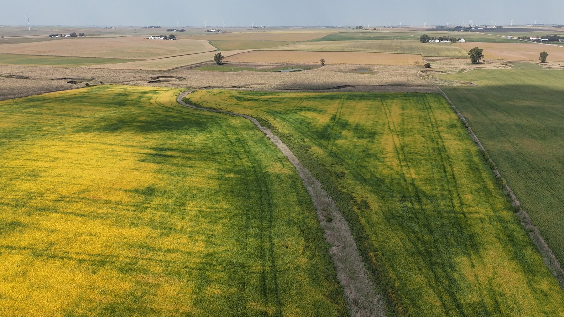 Image for Sac County, IA Farmland Auction!