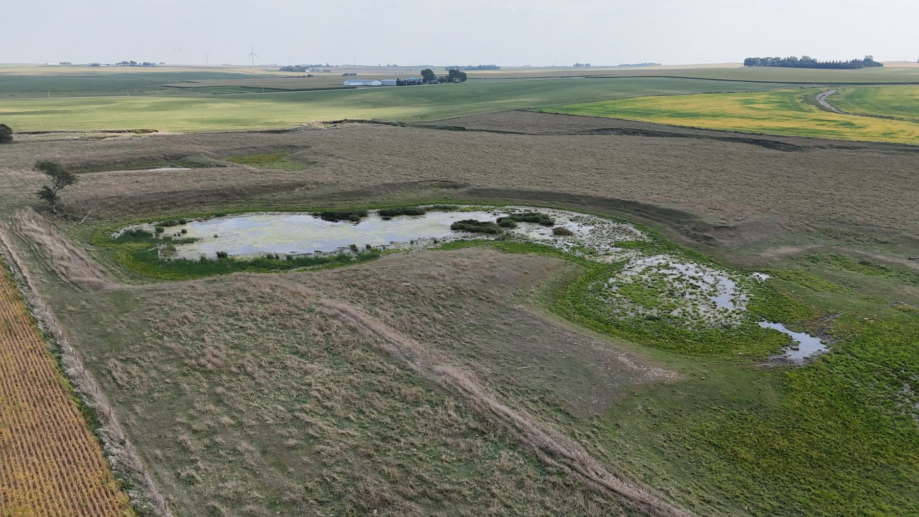 Image for Sac County, IA Farmland Auction!