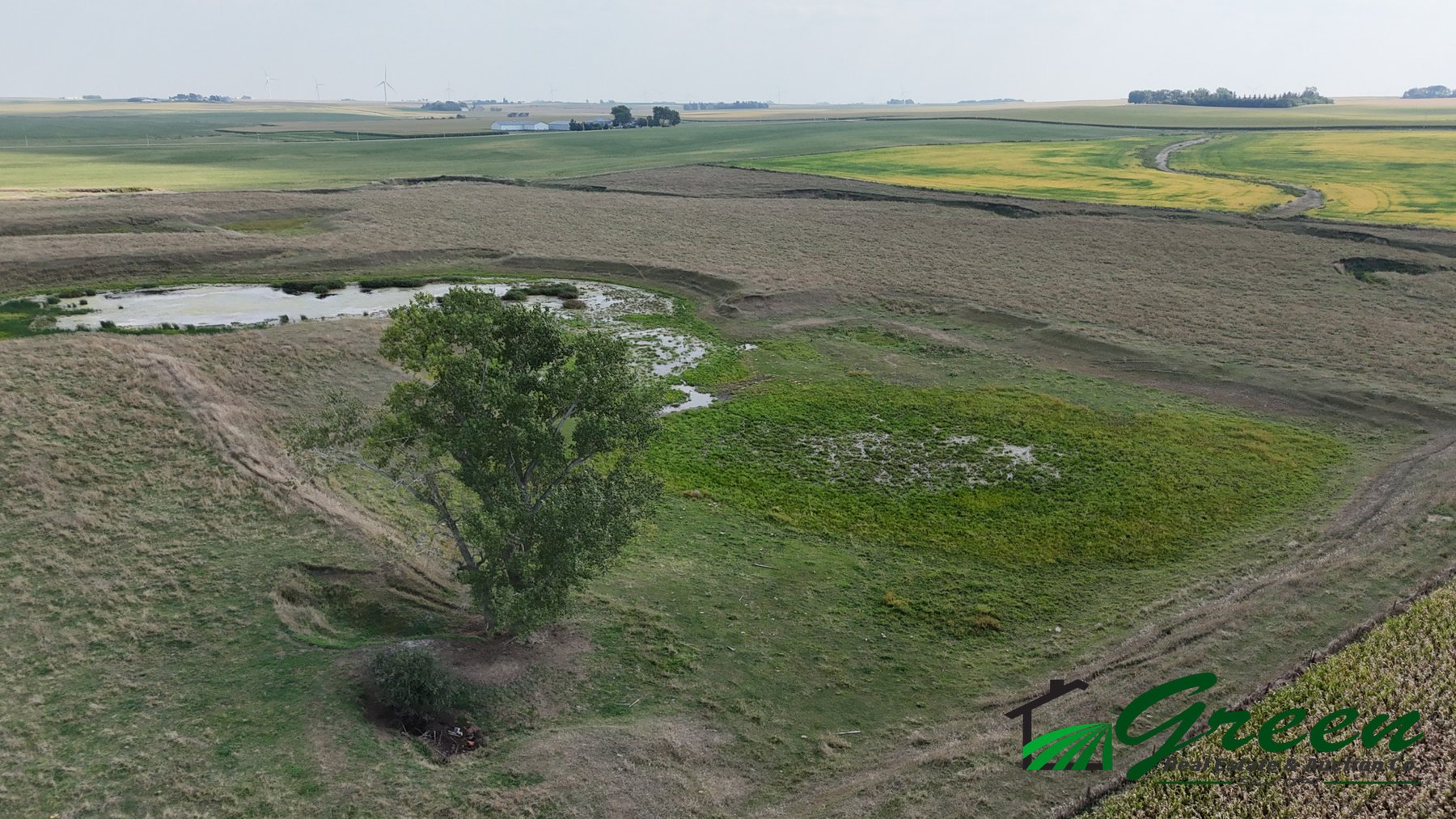 Image for Sac County, IA Farmland Auction!