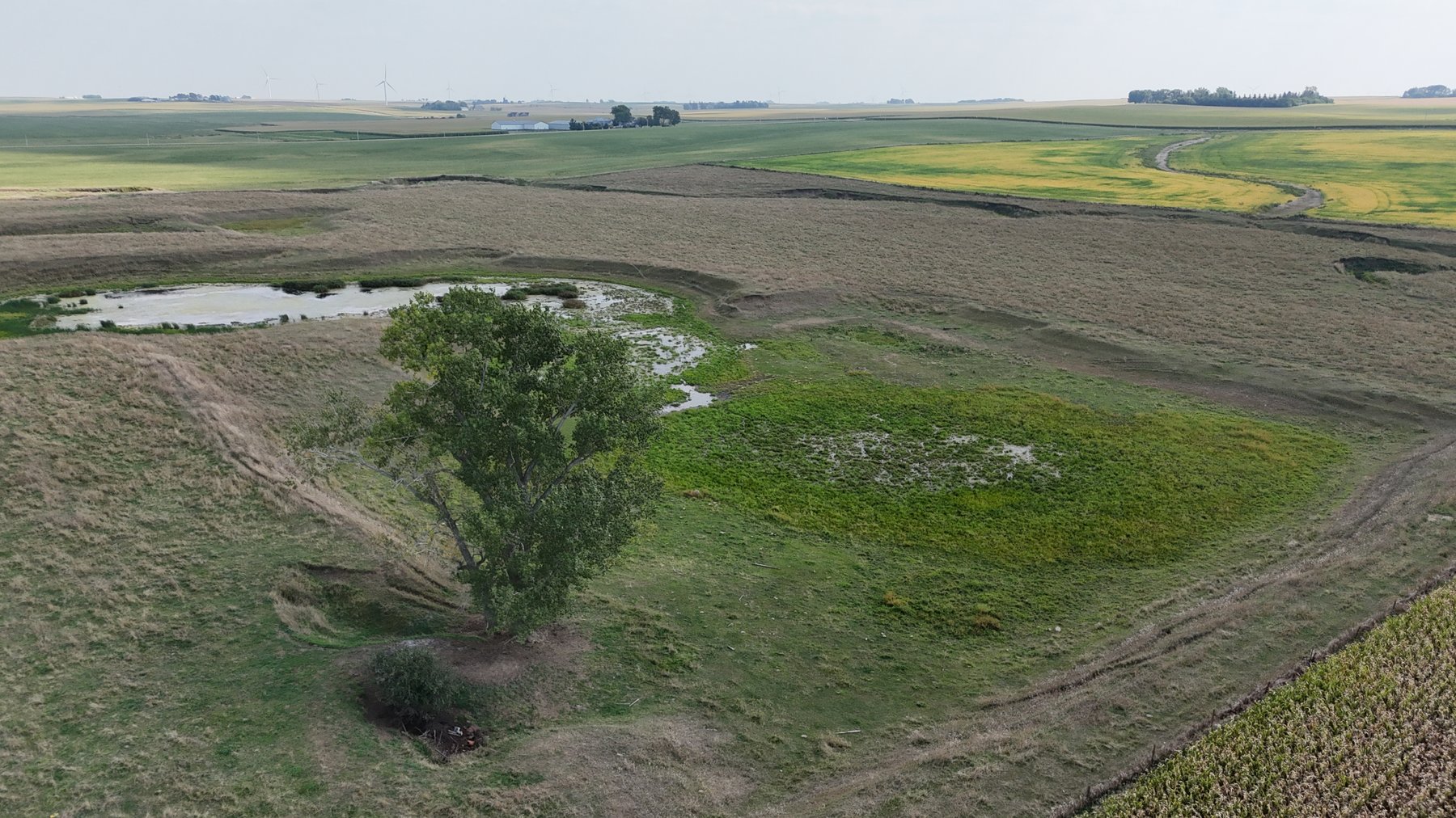 Image for Sac County, IA Farmland Auction!