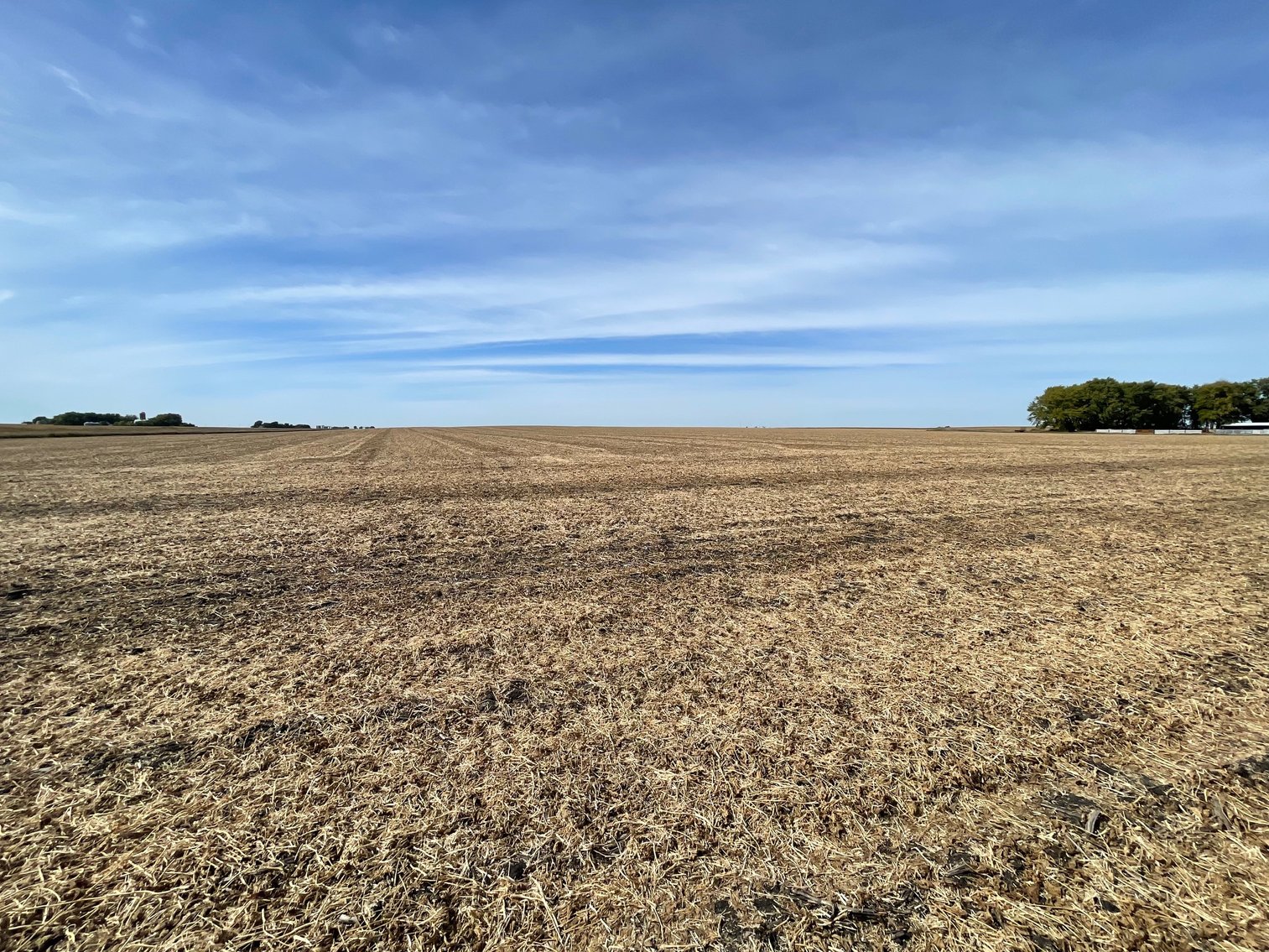 Image for Calhoun County, IA Land Auction!