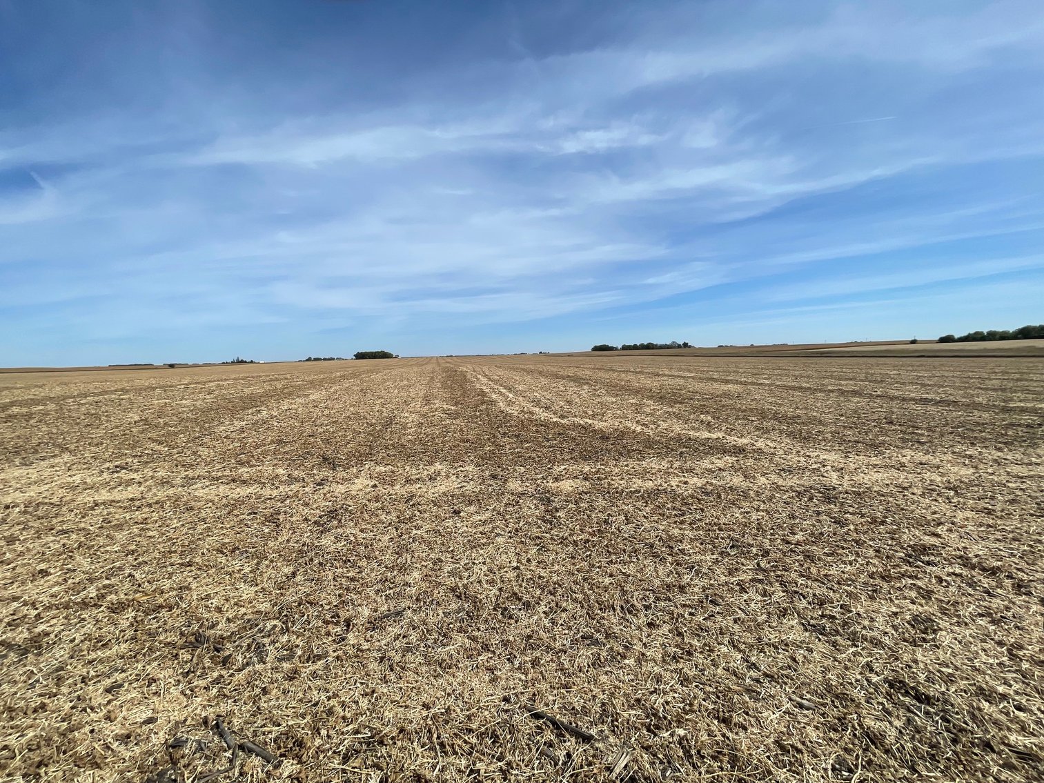 Image for Calhoun County, IA Land Auction!