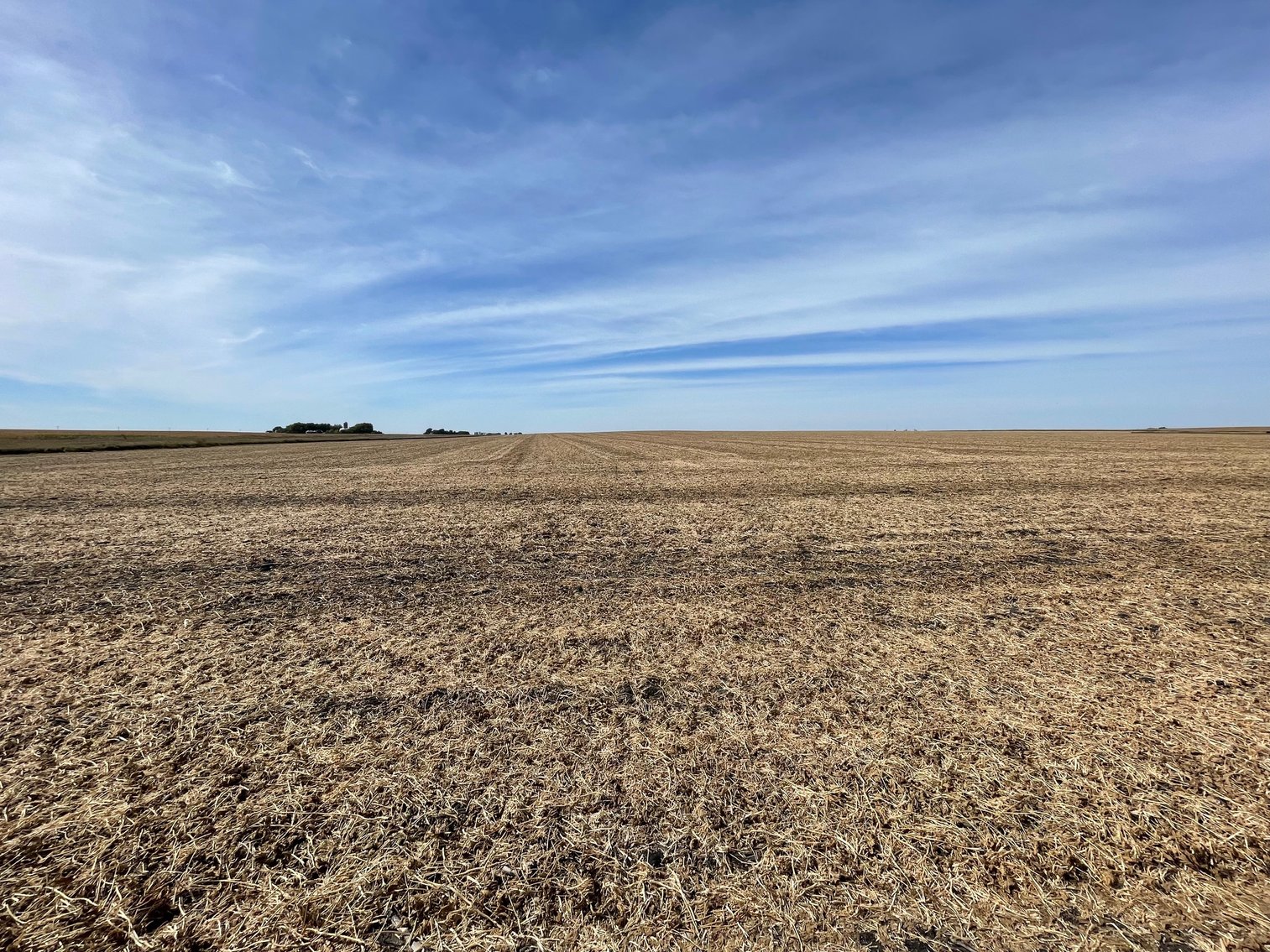 Image for Calhoun County, IA Land Auction!