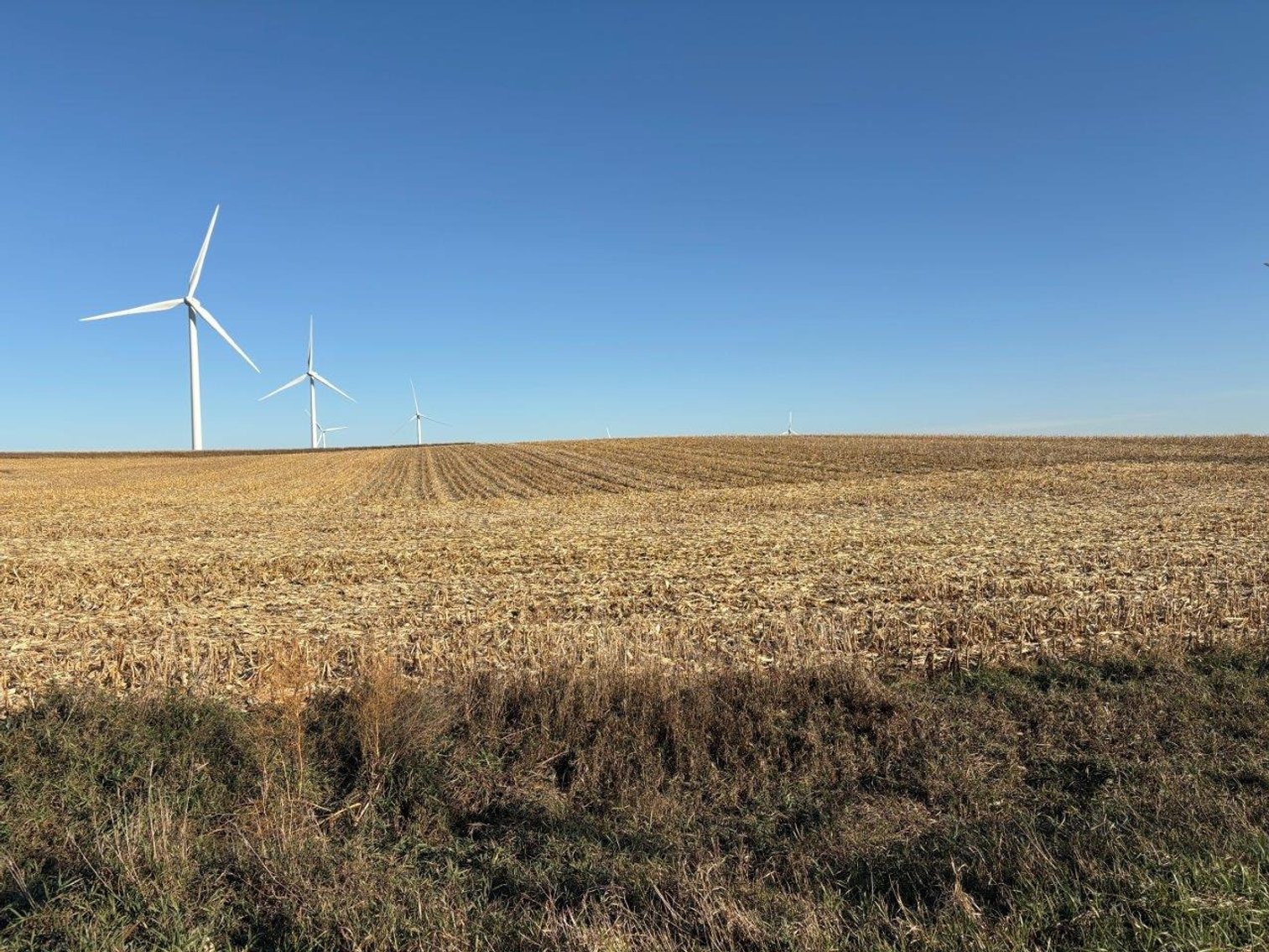 Image for Sac County Farmland Auction!