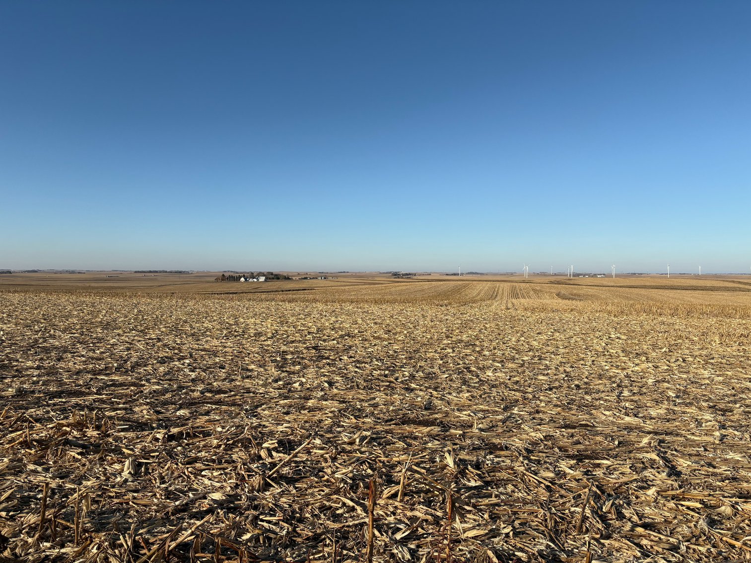 Image for Sac County Farmland Auction!
