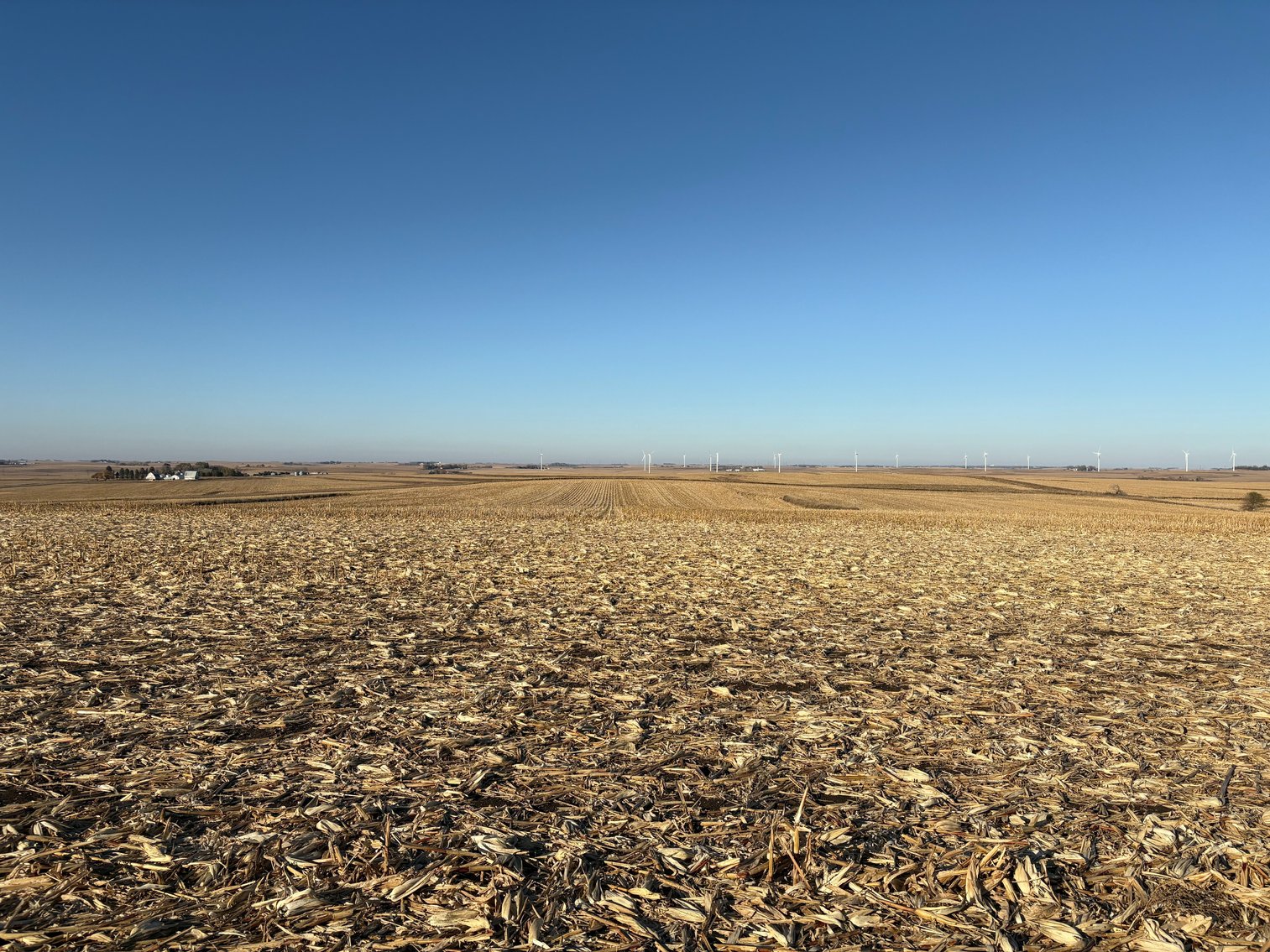 Image for Sac County Farmland Auction!