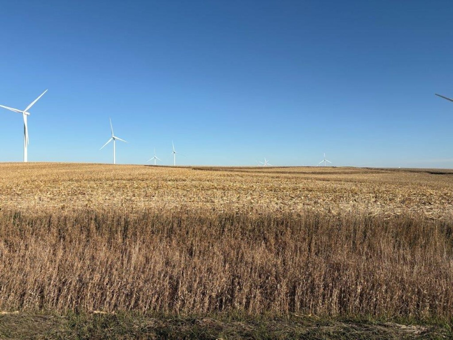 Image for Sac County Farmland Auction!