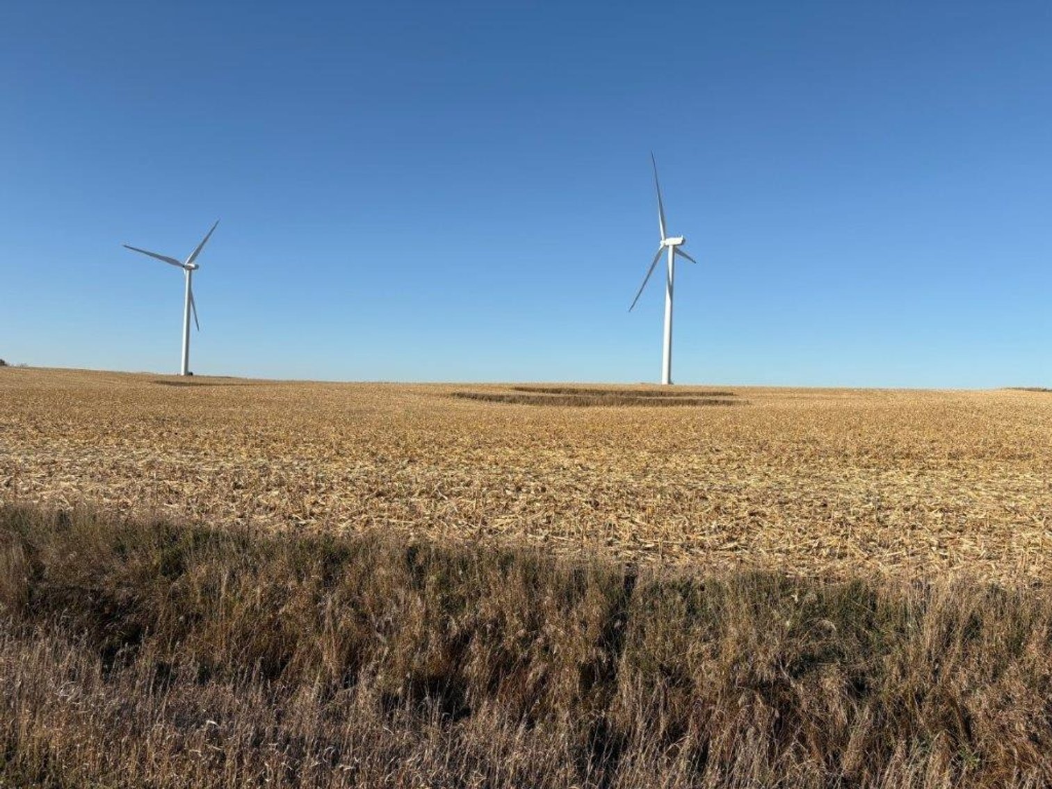 Image for Sac County Farmland Auction!