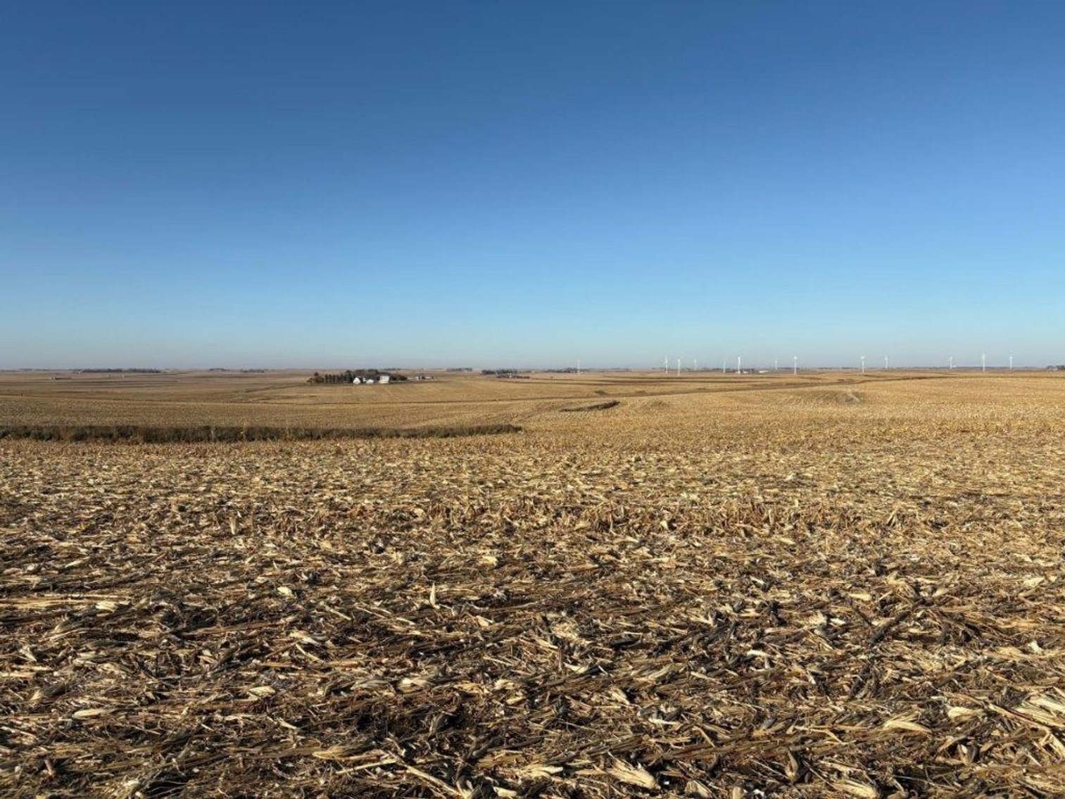 Image for Sac County Farmland Auction!