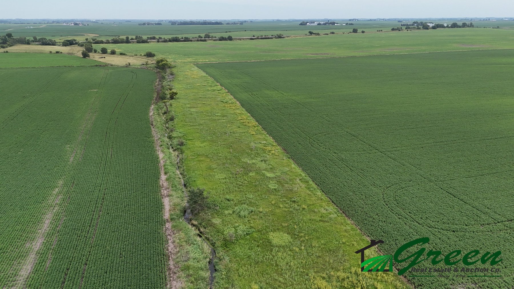 Image for Sac County, IA Farmland Auction!