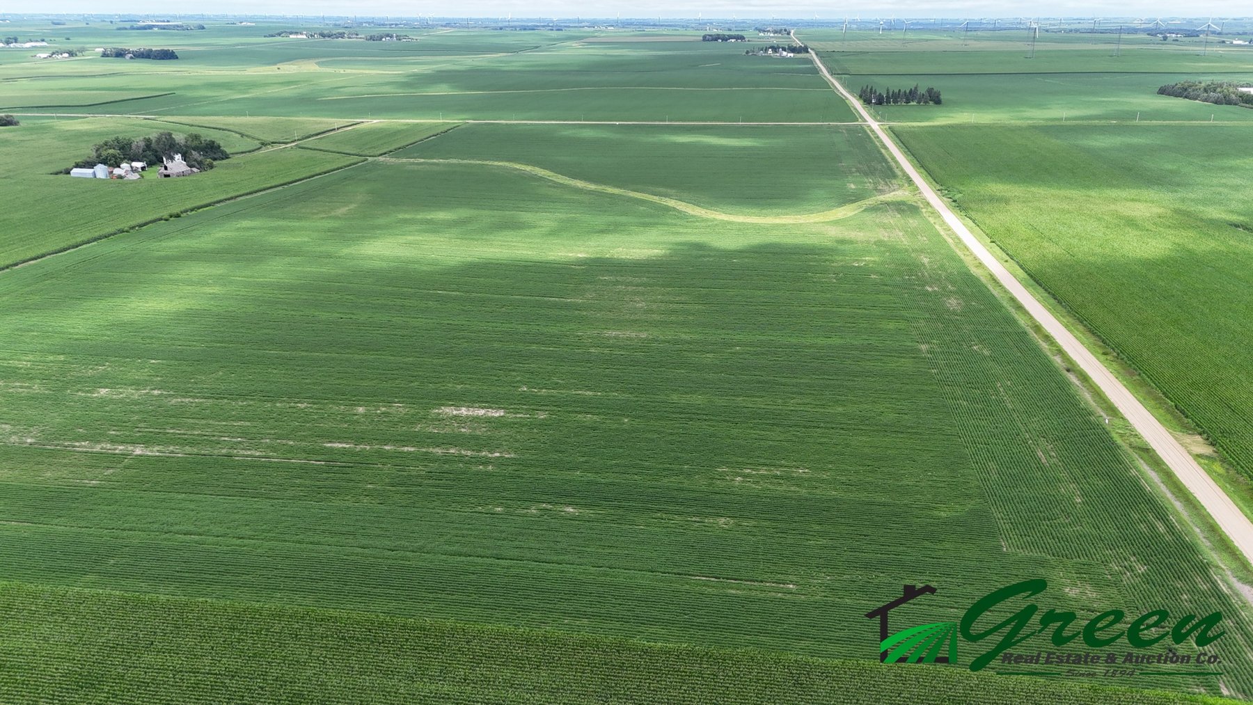 Image for Buena Vista County, IA Land Auction!