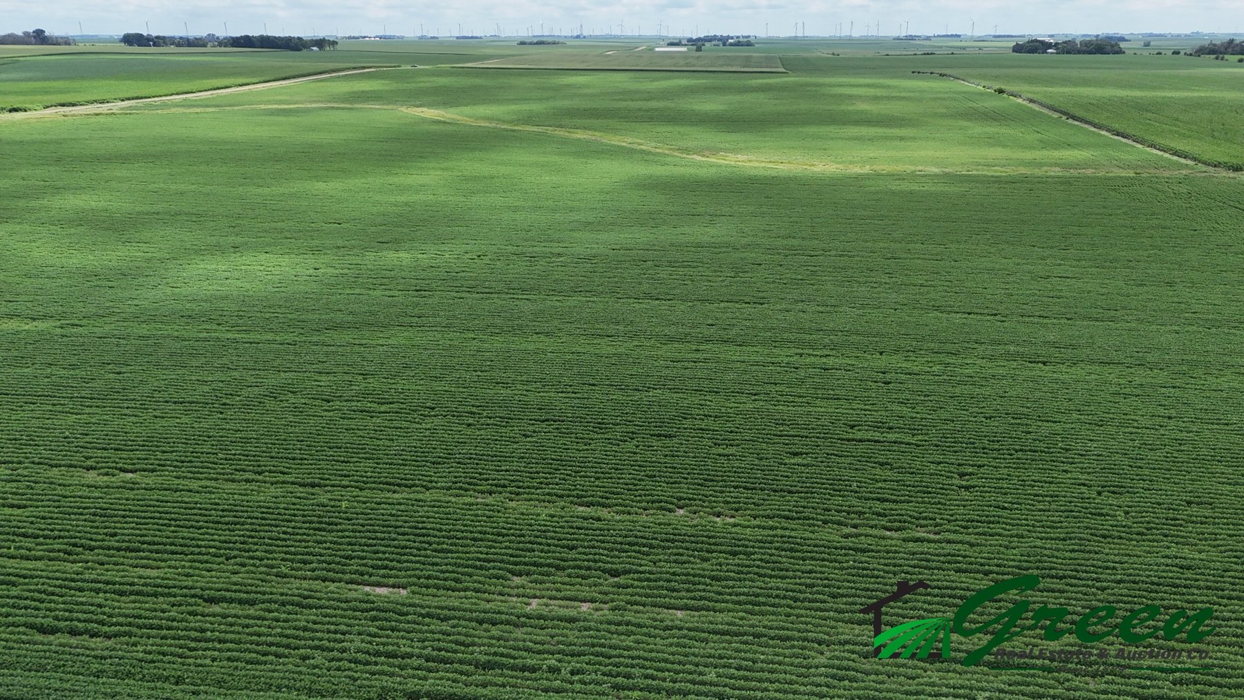 Image for Buena Vista County, IA Land Auction!