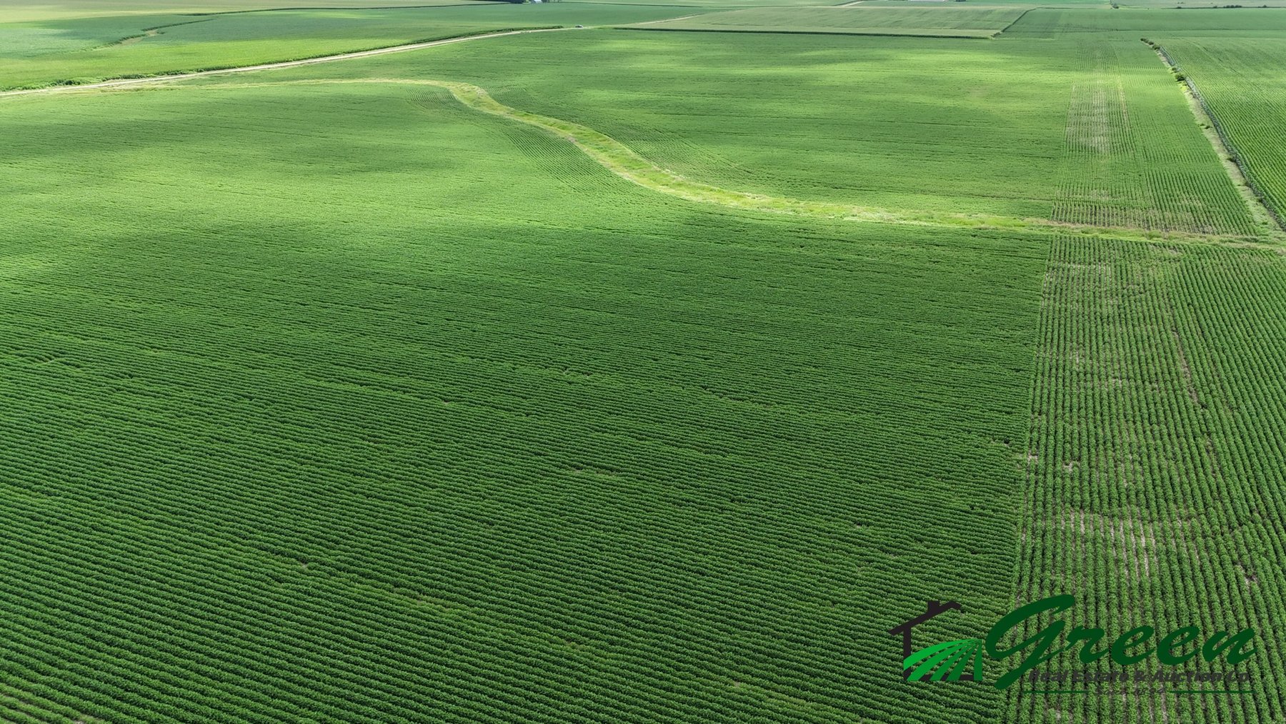 Image for Buena Vista County, IA Land Auction!