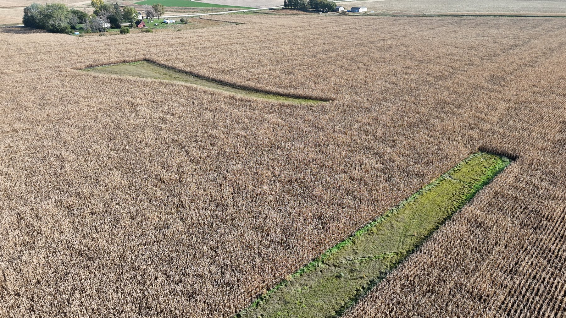 Image for Calhoun County, IA Farmland Auction!