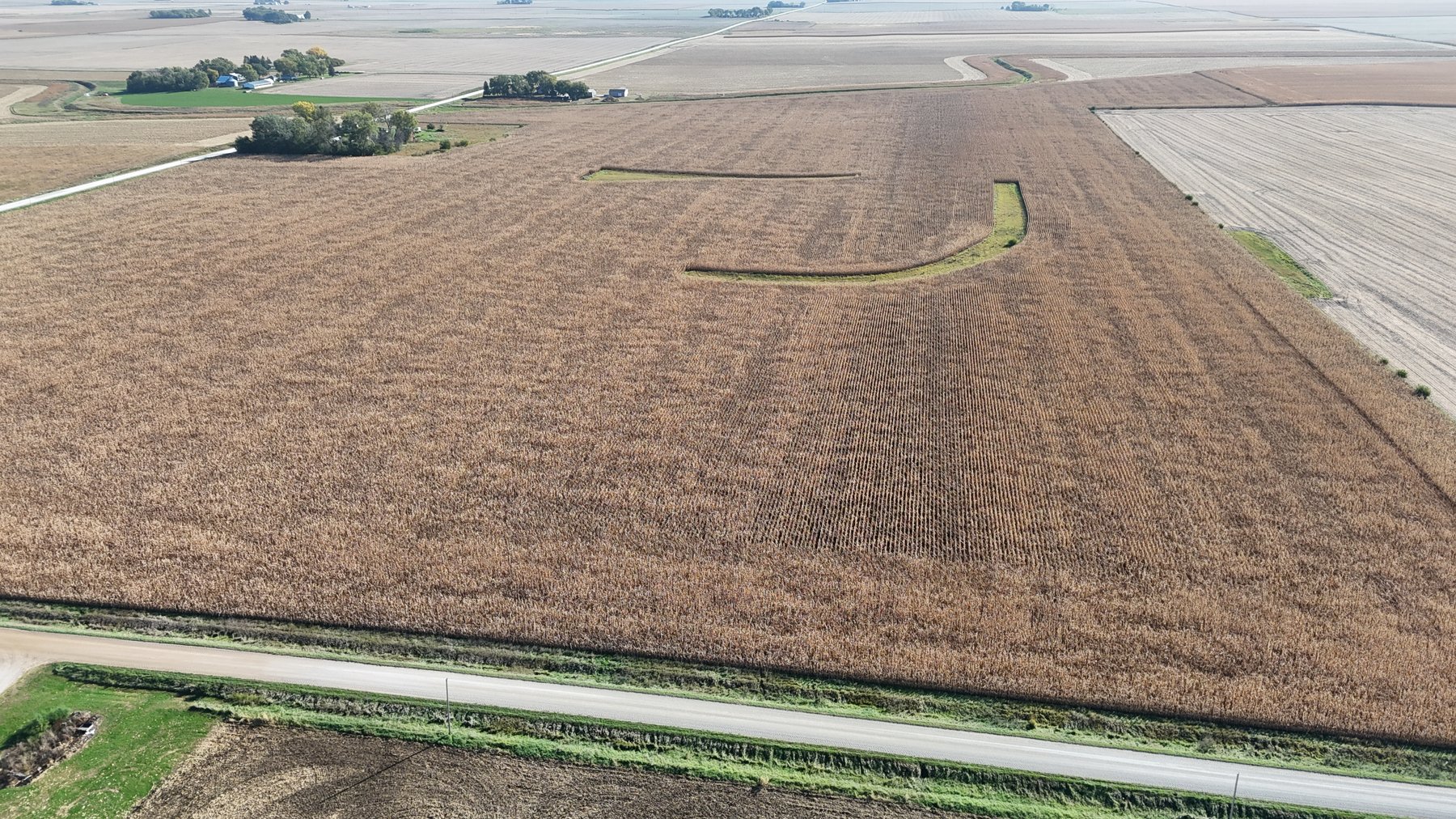 Image for Calhoun County, IA Farmland Auction!