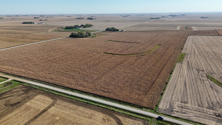 Image for Calhoun County, IA Farmland Auction!