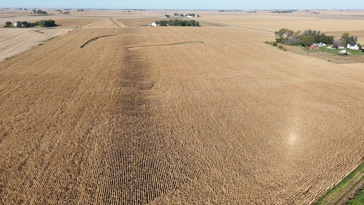 Image for Calhoun County, IA Farmland Auction!