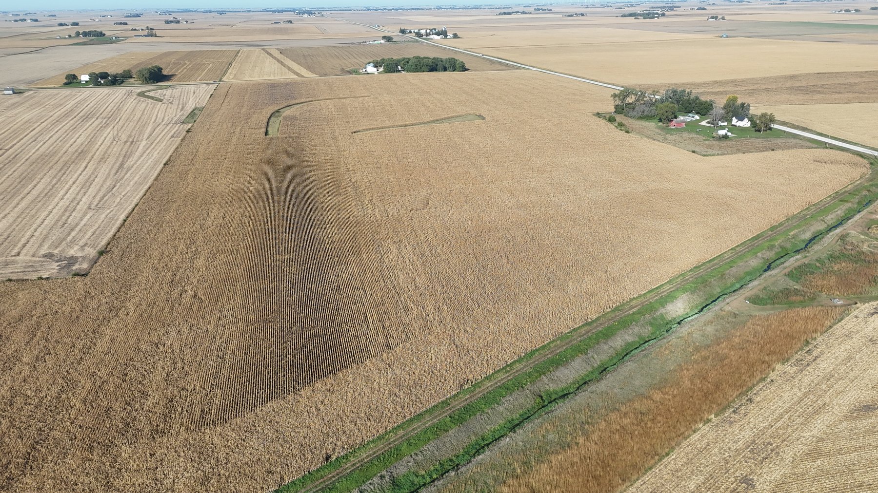 Image for Calhoun County, IA Farmland Auction!