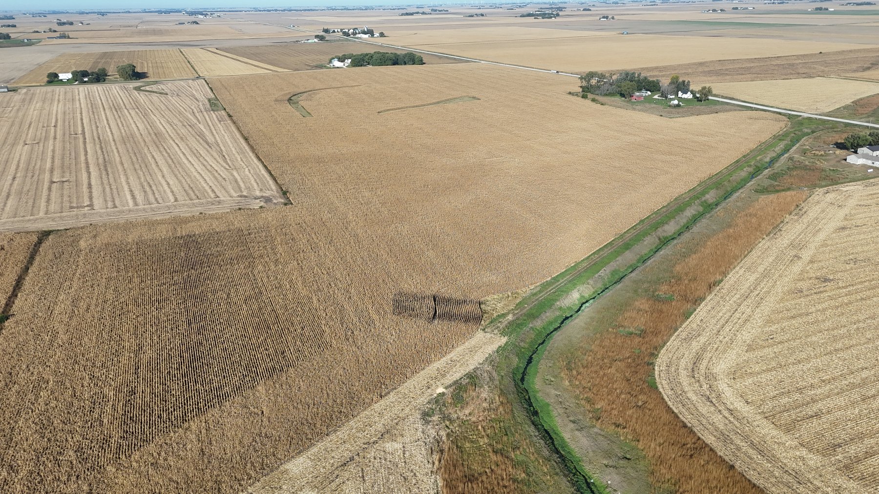 Image for Calhoun County, IA Farmland Auction!