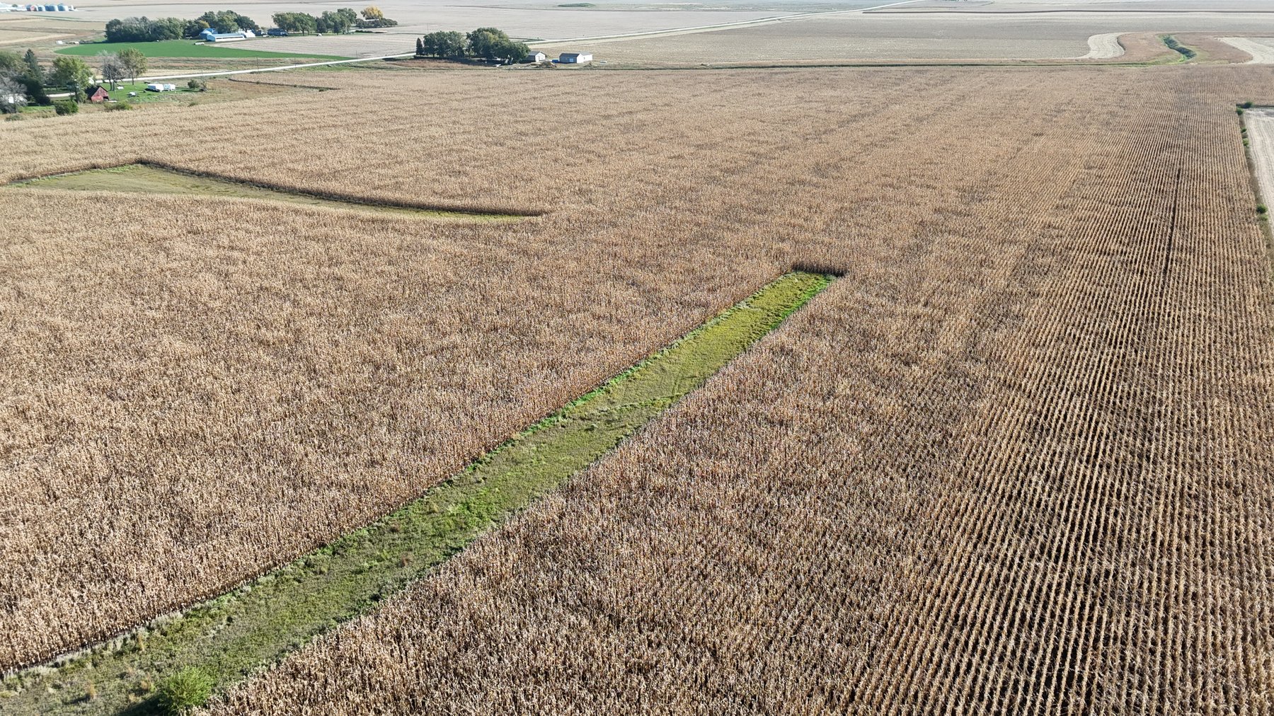 Image for Calhoun County, IA Farmland Auction!