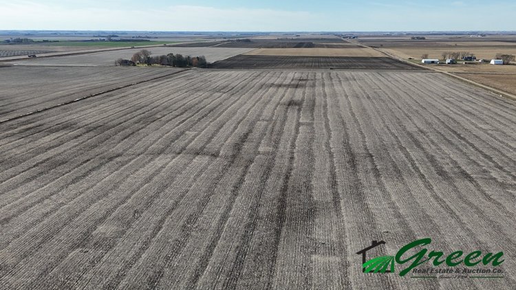 Image for Calhoun County Farmland Auction!