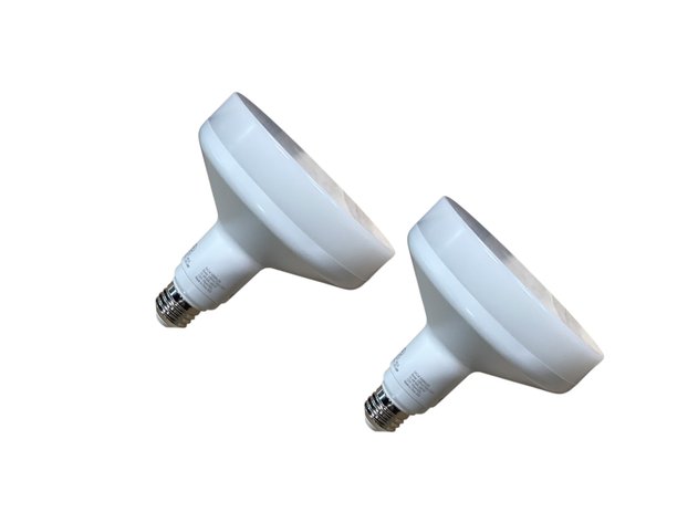 Image for Floodlight Bulbs