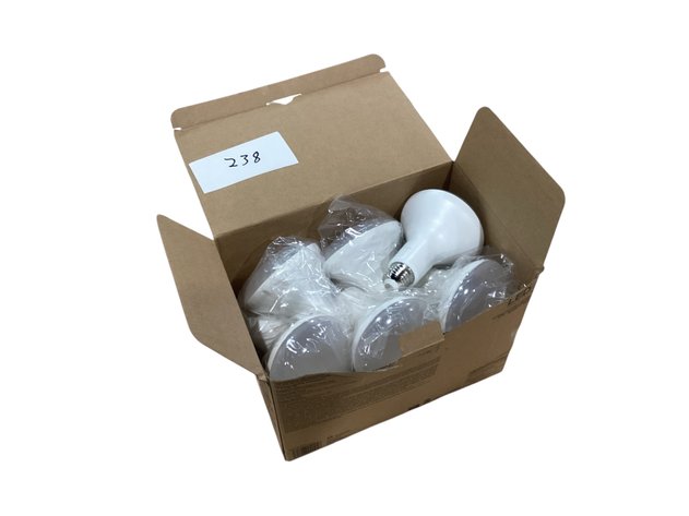 Image for Floodlight Bulbs