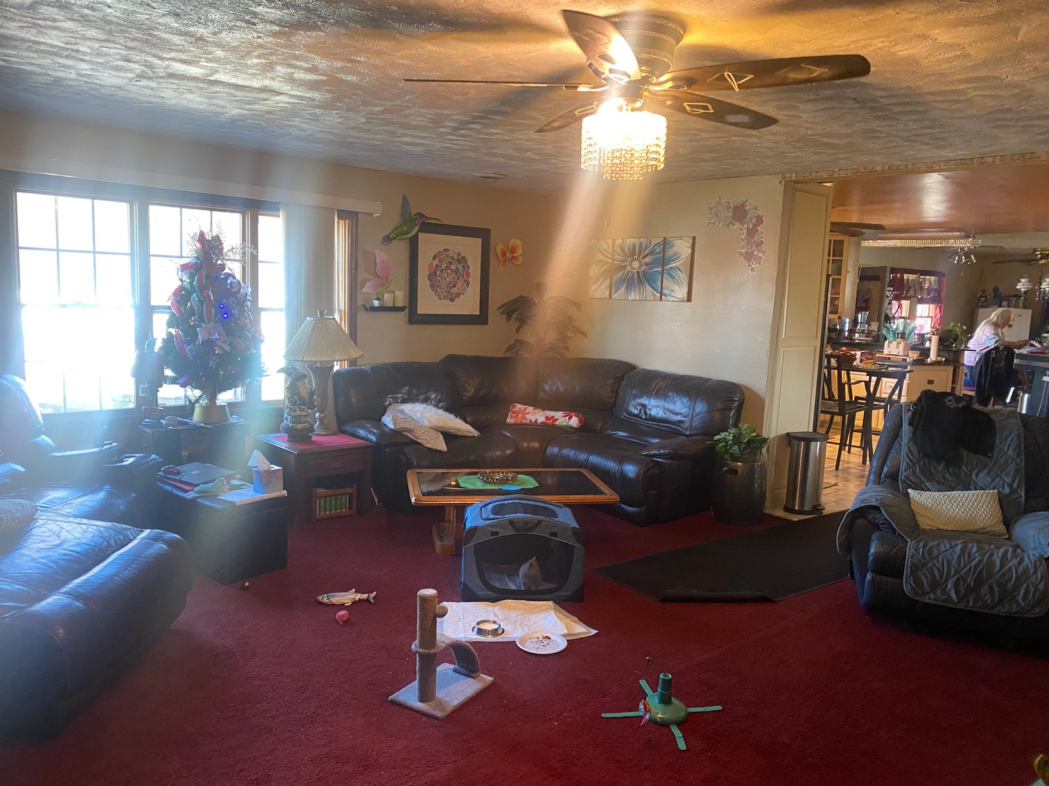 Image for 229 and 312 South Schwamberger Road, Swanton, Ohio 43558