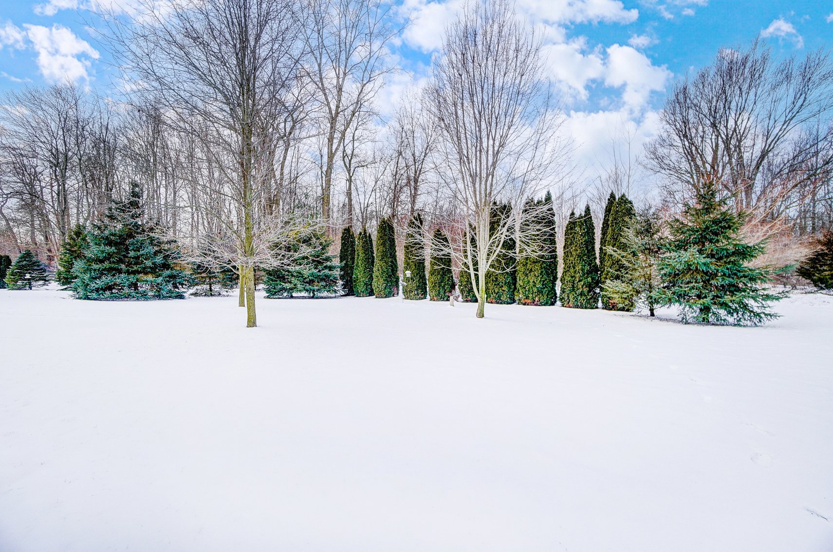 Image for 7087 Sierra Lane, Temperance, Michigan 48182