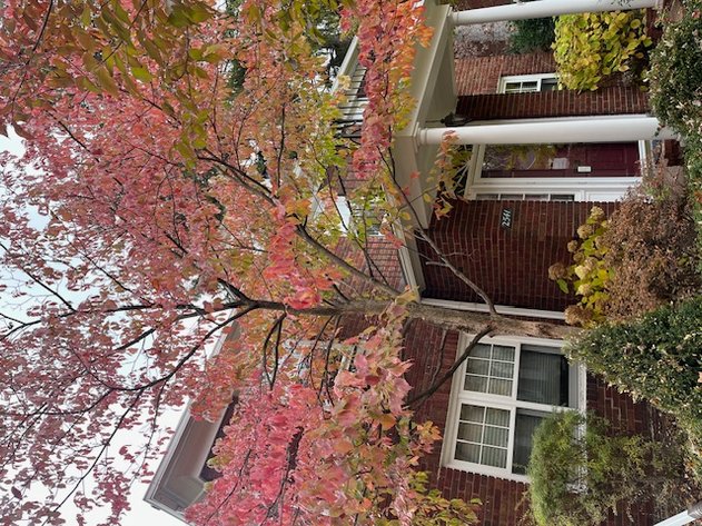 Image for 2541 Cheltenham Road, Toledo, Ohio 43606