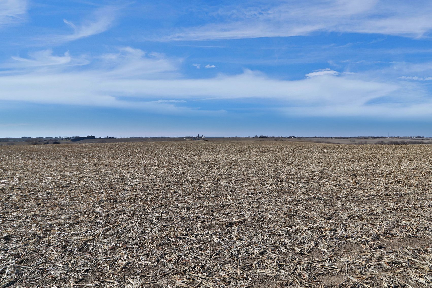 Image for Stewart Family Land Auction (Cass County)