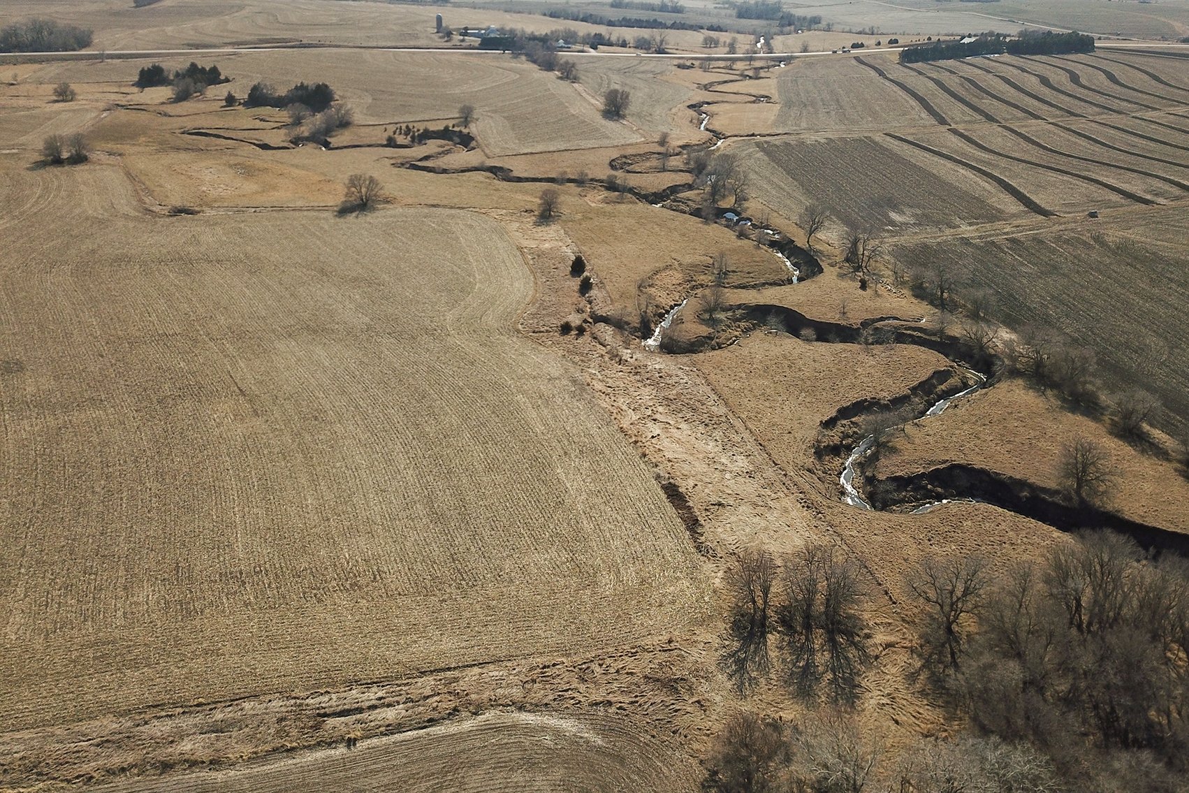 Image for Stewart Family Land Auction (Cass County)