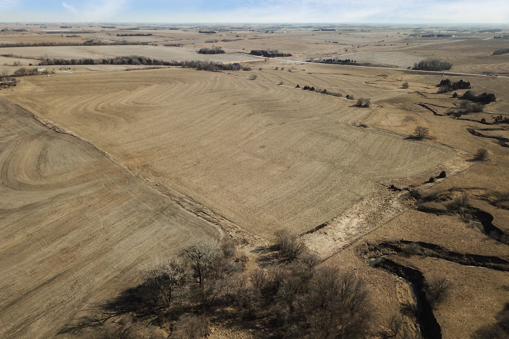 Image for Stewart Family Land Auction (Cass County)