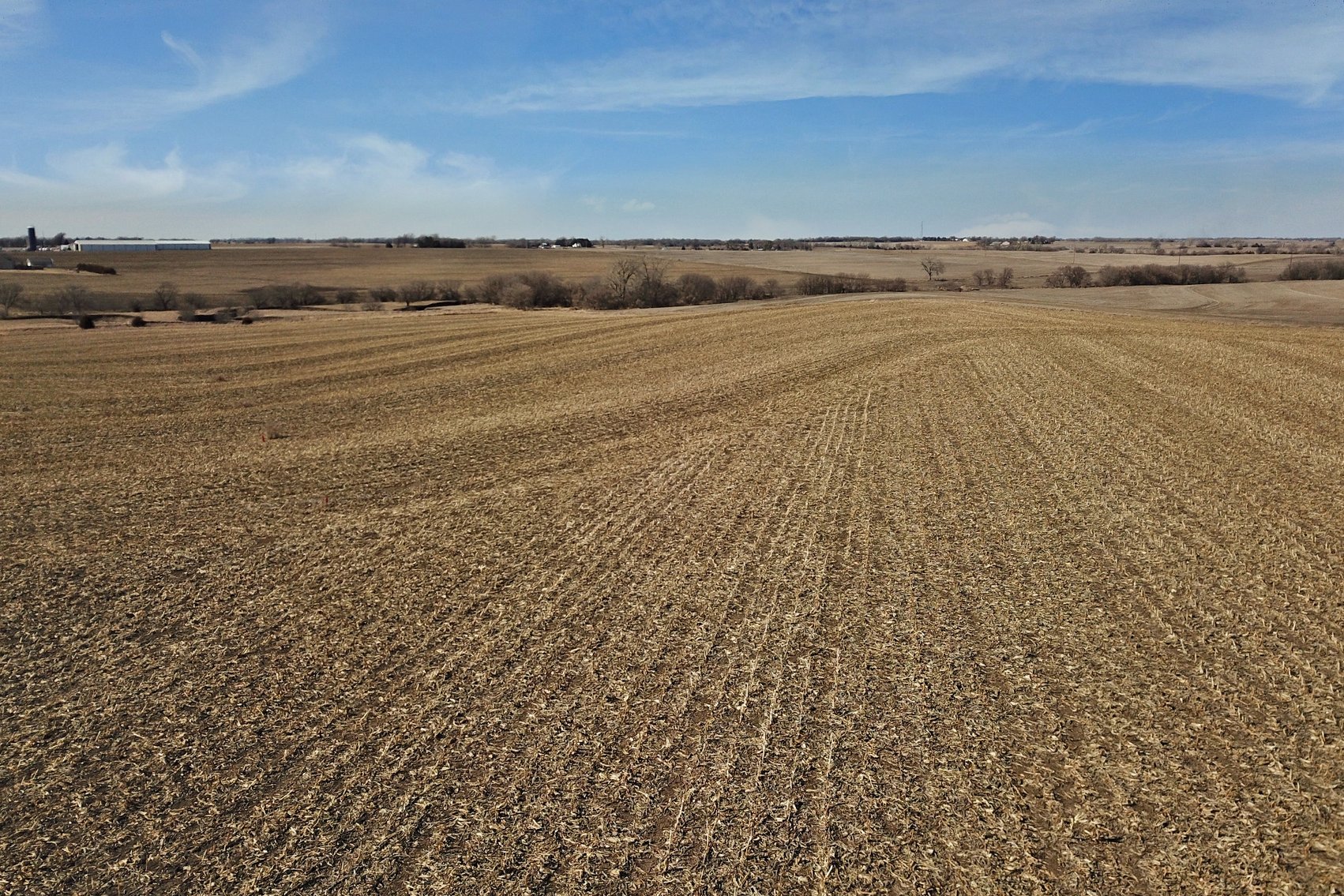 Image for Stewart Family Land Auction (Cass County)