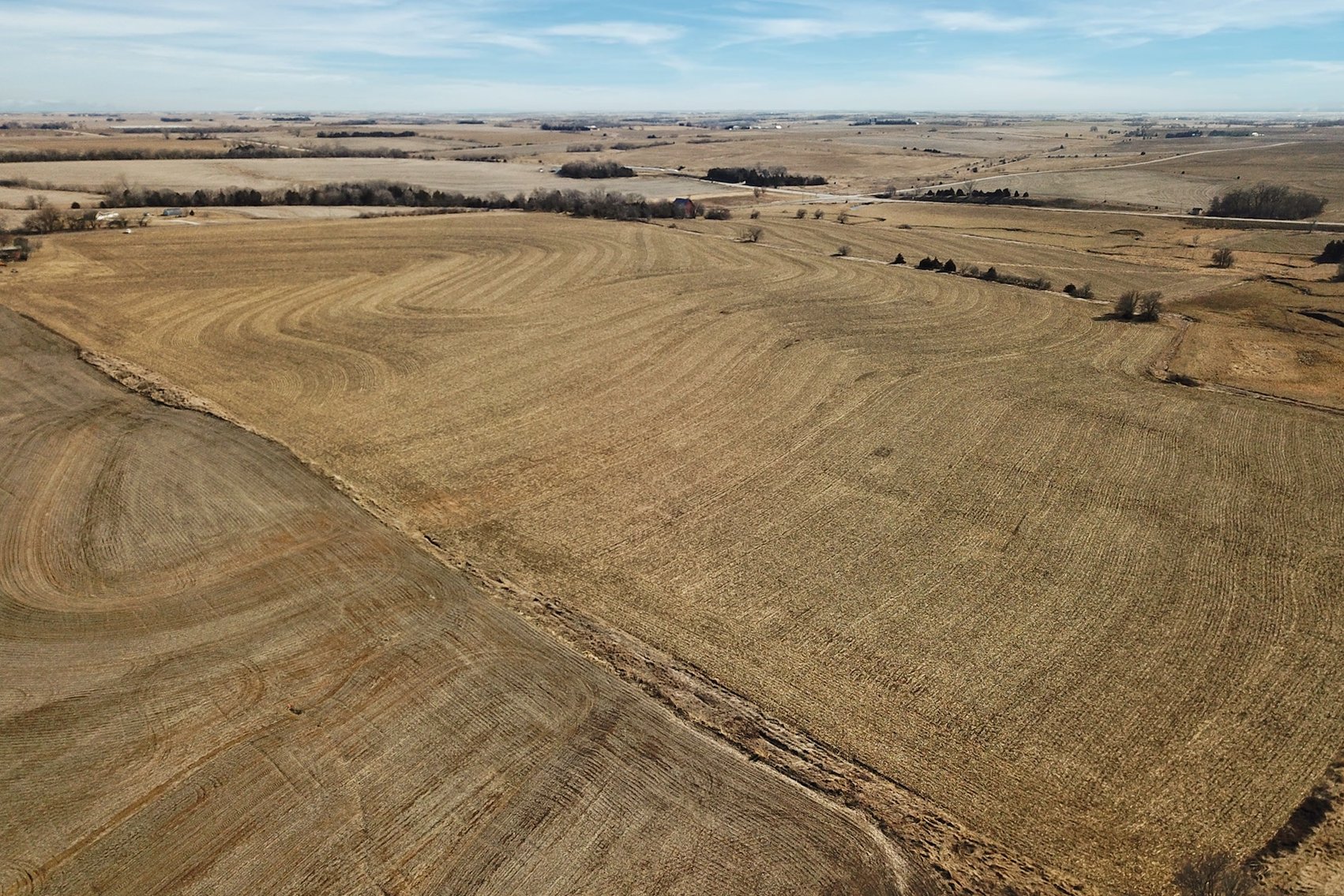 Image for Stewart Family Land Auction (Cass County)