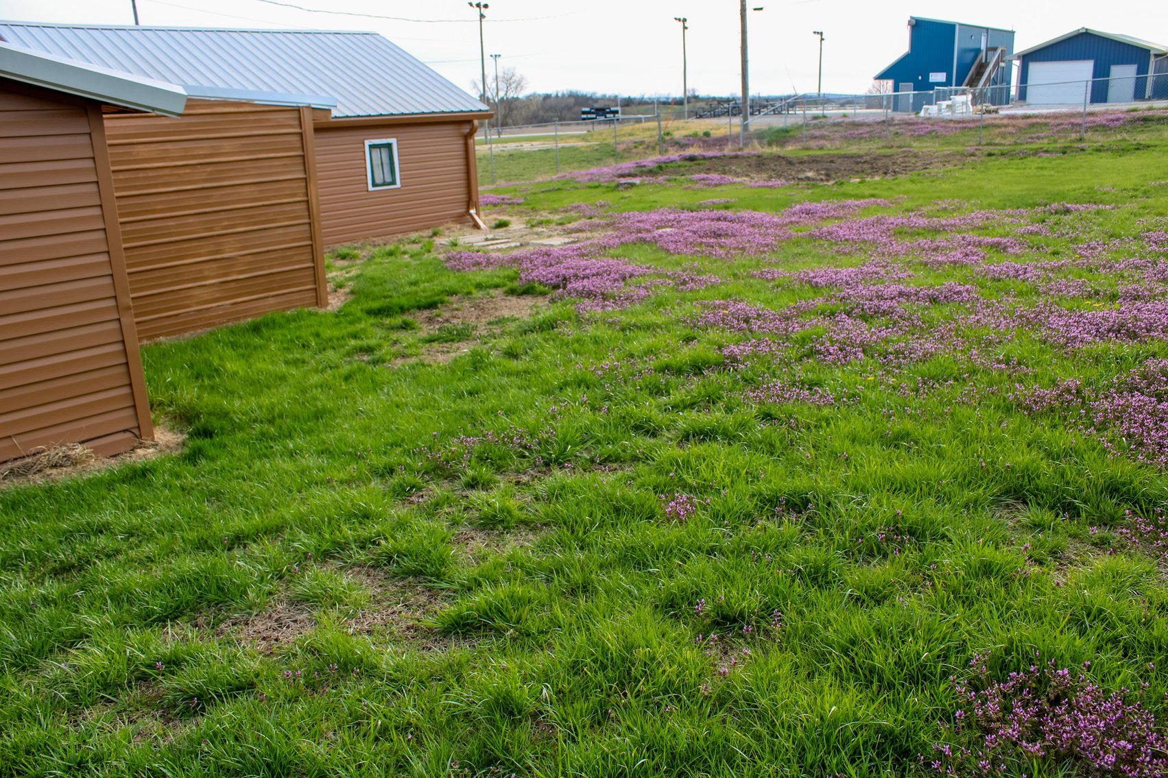 Image for 857 Longbranch Street, Humboldt, NE 68376 Real Estate Auction by the Schaardt Auction Team with Burrows Tracts Real Estate