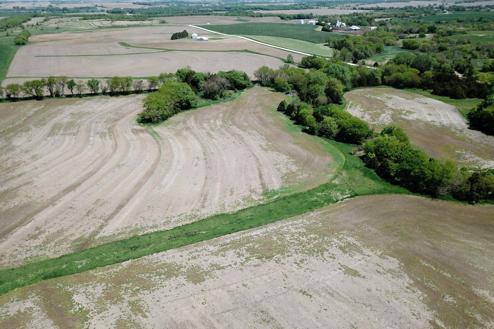 Image for Donald W. Eis Farmland Auction by the Schaardt Auction Team with Burrows Tracts Real Estate