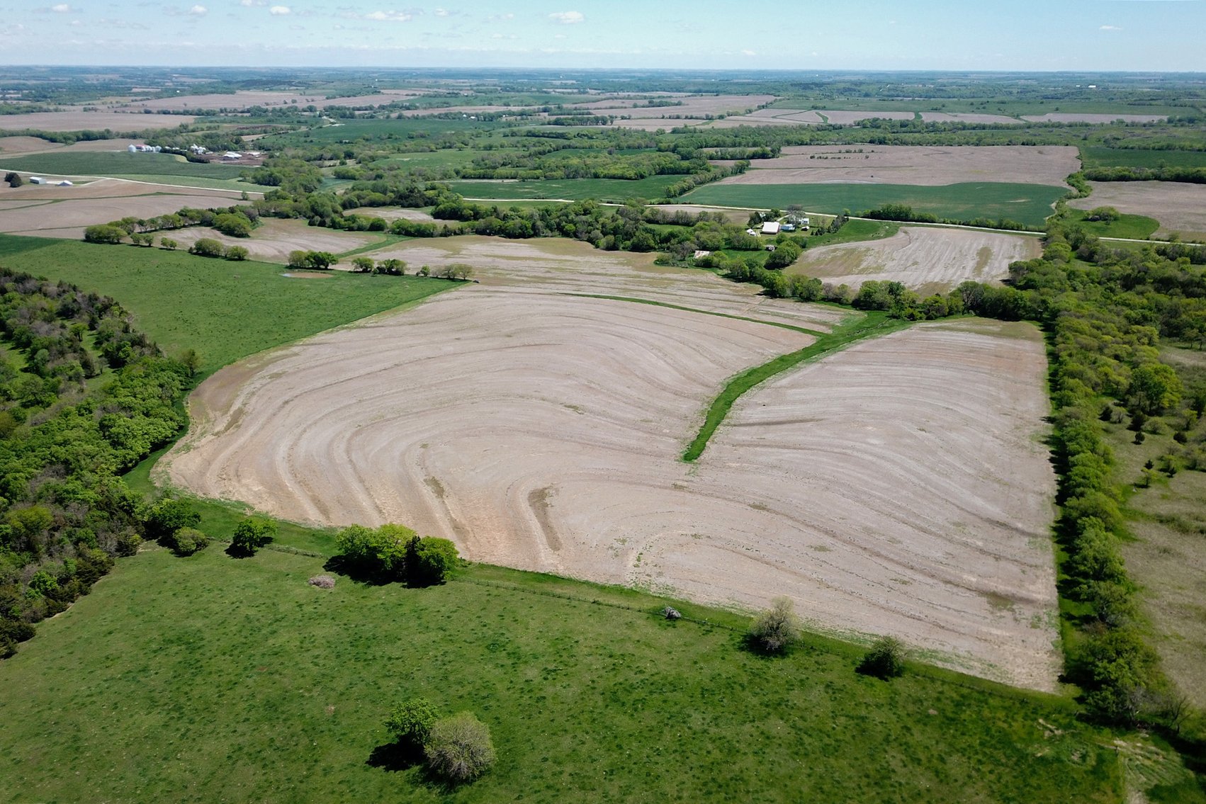 Image for Donald W. Eis Farmland Auction by the Schaardt Auction Team with Burrows Tracts Real Estate