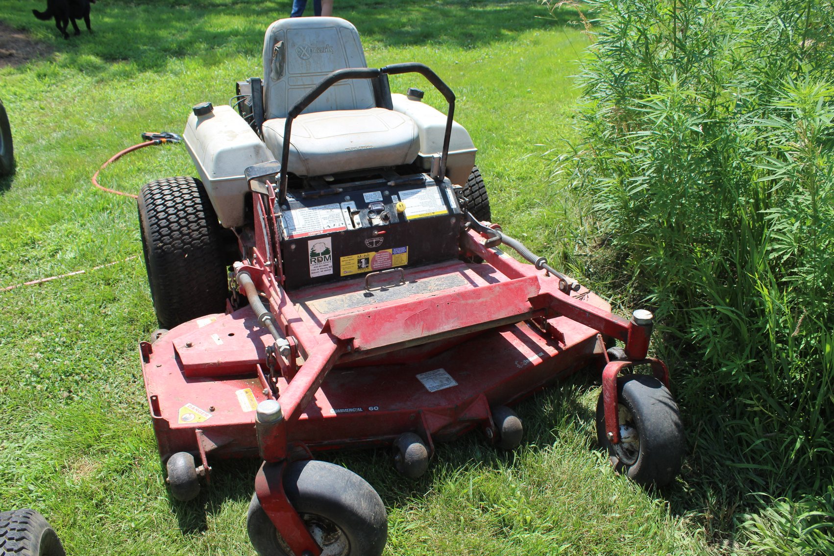 Image for Tate Auction