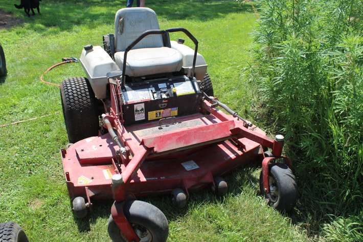 Image for Tate Auction