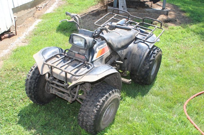 Image for Tate Auction