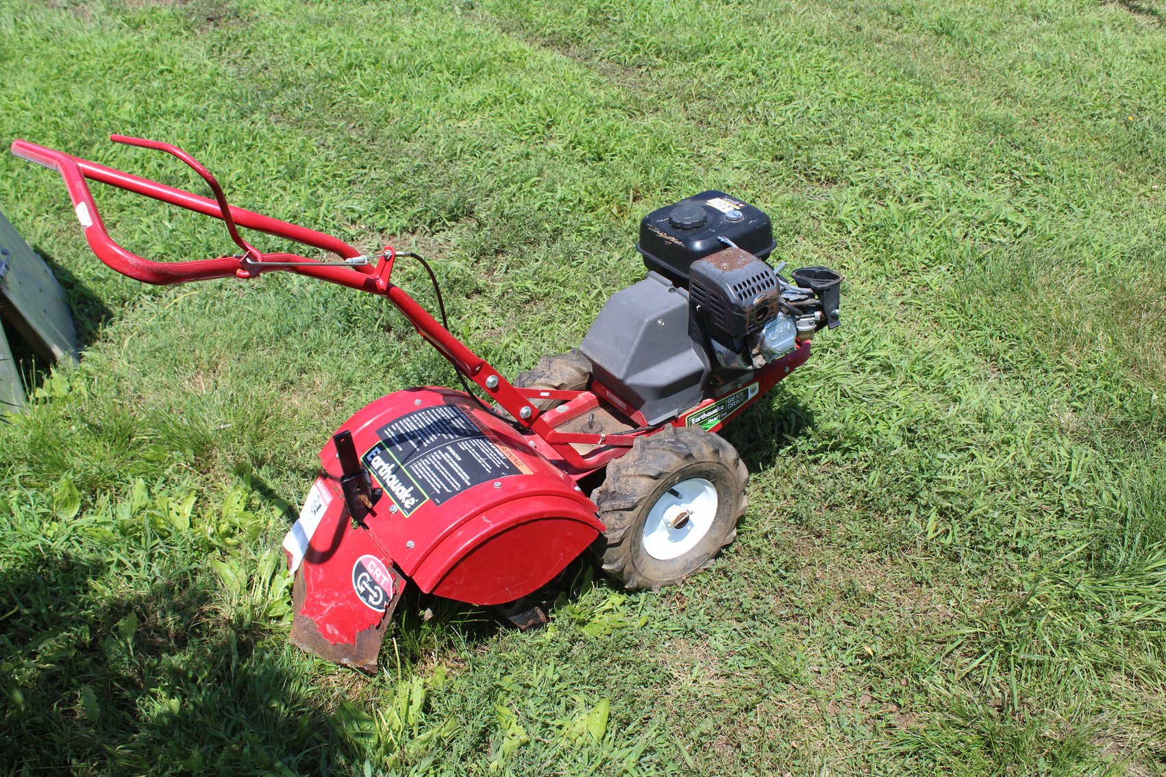 Image for Tate Auction