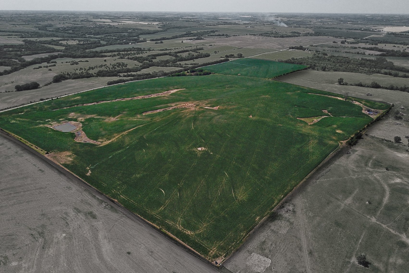 Image for 193.21Acres Pawnee County Farmland Auction by The Schaardt Auction Team with Burrows Tracts Real Estate