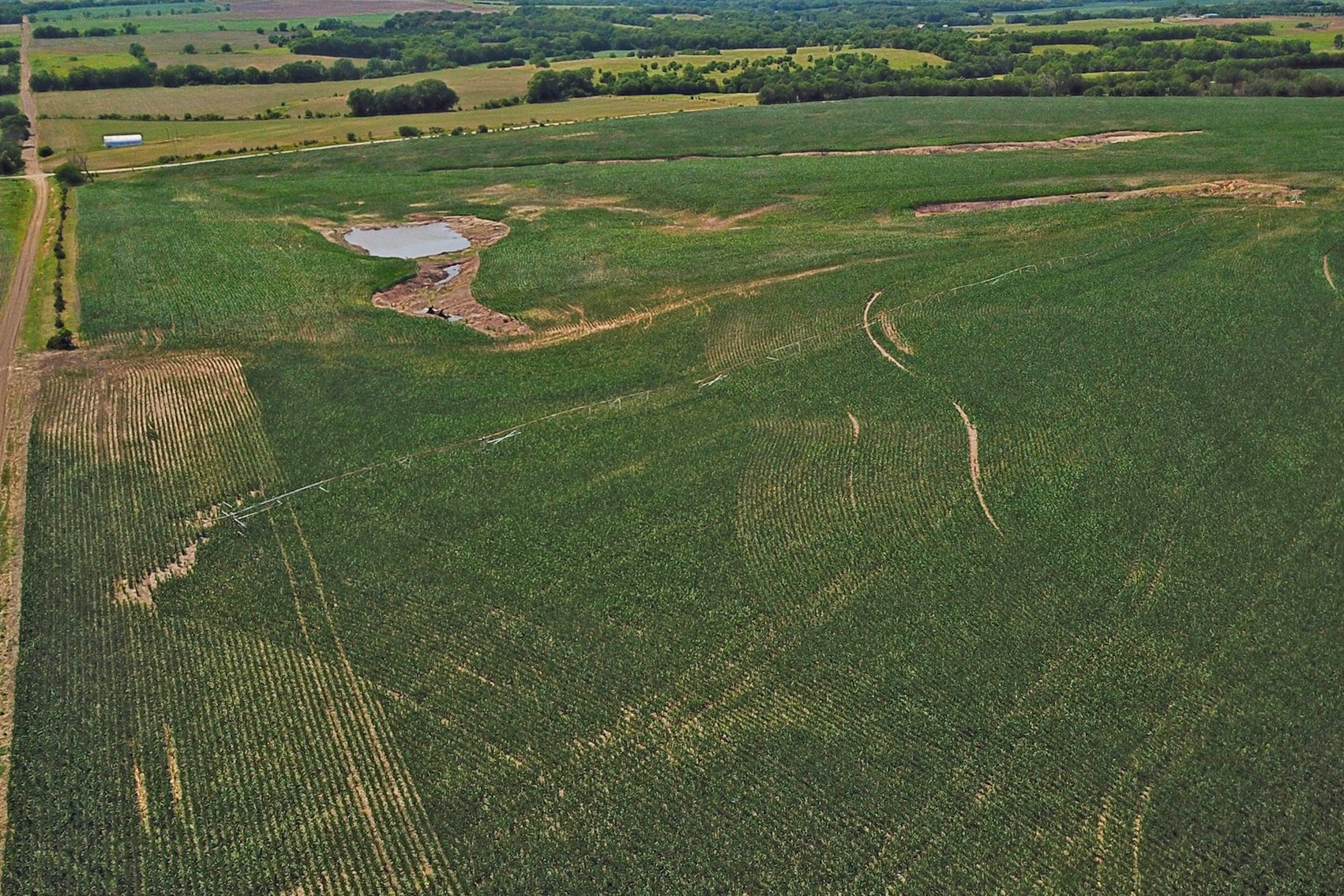 Image for 193.21Acres Pawnee County Farmland Auction by The Schaardt Auction Team with Burrows Tracts Real Estate